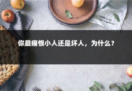 你最痛恨小人还是坏人，为什么？