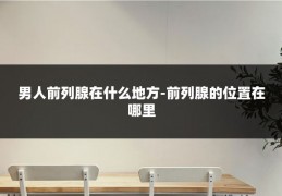 男人前列腺在什么地方-前列腺的位置在哪里