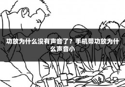 功放为什么没有声音了?手机带功放为什么声音小