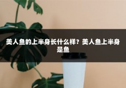 美人鱼的上半身长什么样？美人鱼上半身是鱼