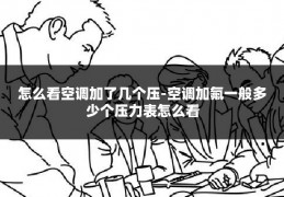 怎么看空调加了几个压-空调加氟一般多少个压力表怎么看