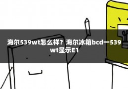 海尔539wt怎么样？海尔冰箱bcd一539wt显示E1