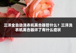 三洋全自动洗衣机离合器管什么?三洋洗衣机离合器坏了有什么症状