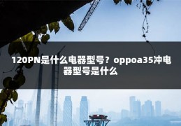 120PN是什么电器型号?oppoa35冲电器型号是什么