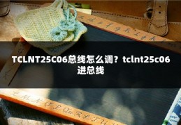 TCLNT25C06总线怎么调？tclnt25c06进总线