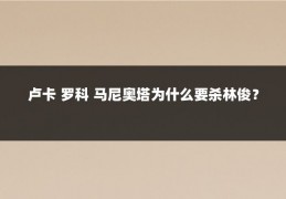 卢卡 罗科 马尼奥塔为什么要杀林俊?