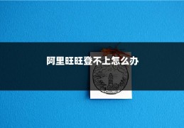 阿里旺旺登不上怎么办