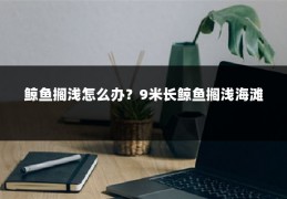 鲸鱼搁浅怎么办?9米长鲸鱼搁浅海滩