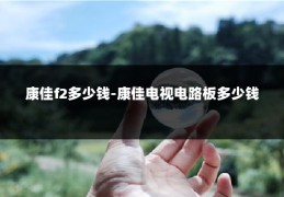 康佳f2多少钱-康佳电视电路板多少钱