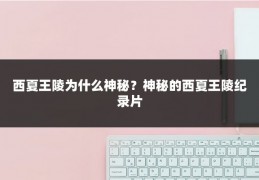 西夏王陵为什么神秘？神秘的西夏王陵纪录片