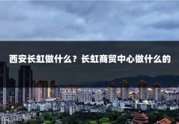 西安长虹做什么？长虹商贸中心做什么的