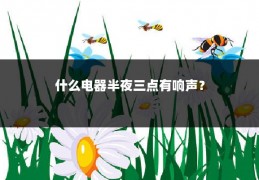什么电器半夜三点有响声?
