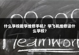 什么学校能学维修手机？学飞机维修读什么学校？