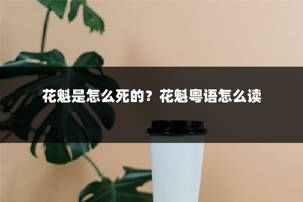 花魁是怎么死的?花魁粤语怎么读
