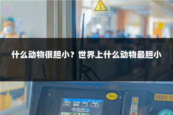 什么动物很胆小?世界上什么动物最胆小