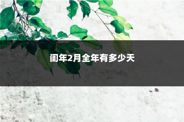 闺年2月全年有多少天