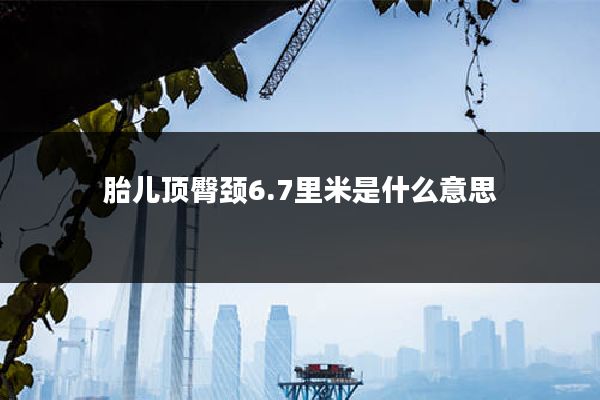 胎儿顶臀颈6.7里米是什么意思