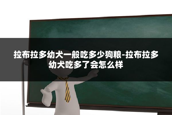 拉布拉多幼犬一般吃多少狗粮-拉布拉多幼犬吃多了会怎么样