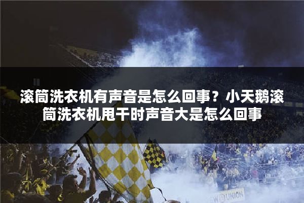 滚筒洗衣机有声音是怎么回事？小天鹅滚筒洗衣机甩干时声音大是怎么回事
