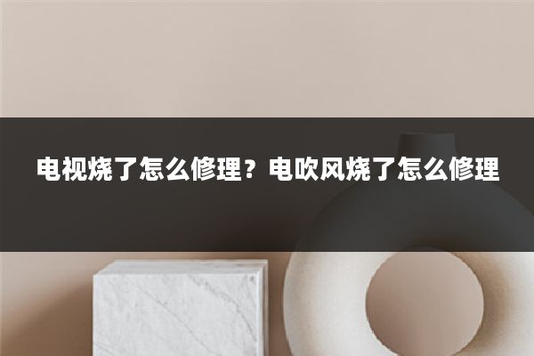 电视烧了怎么修理?电吹风烧了怎么修理