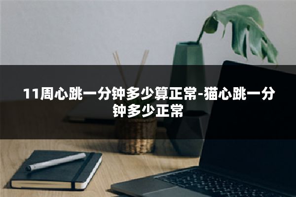 11周心跳一分钟多少算正常-猫心跳一分钟多少正常