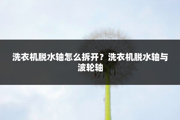 洗衣机脱水轴怎么拆开?洗衣机脱水轴与波轮轴