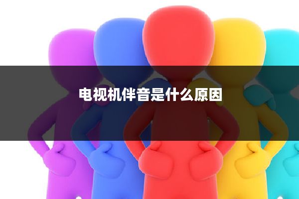 电视机伴音是什么原因