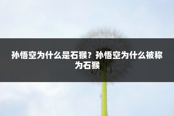 孙悟空为什么是石猴?孙悟空为什么被称为石猴