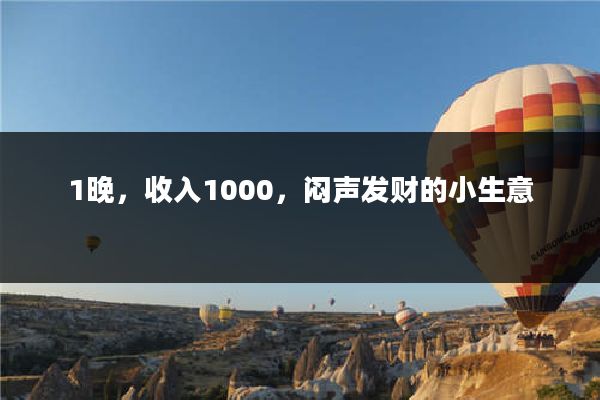 1晚,收入1000,闷声发财的小生意