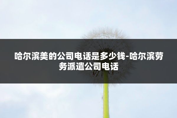 哈尔滨美的公司电话是多少钱-哈尔滨劳务派遣公司电话