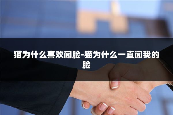 猫为什么喜欢闻脸-猫为什么一直闻我的脸