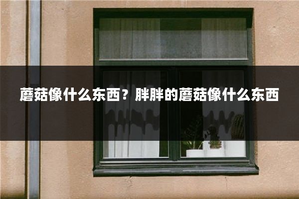 蘑菇像什么东西？胖胖的蘑菇像什么东西