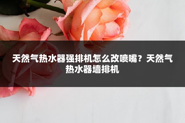 天然气热水器强排机怎么改喷嘴?天然气热水器墙排机
