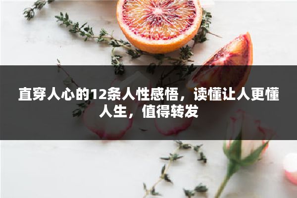 直穿人心的12条人性感悟,读懂让人更懂人生,值得转发