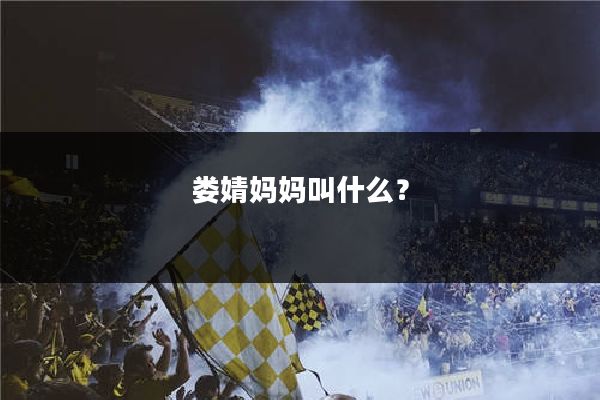 娄婧妈妈叫什么？