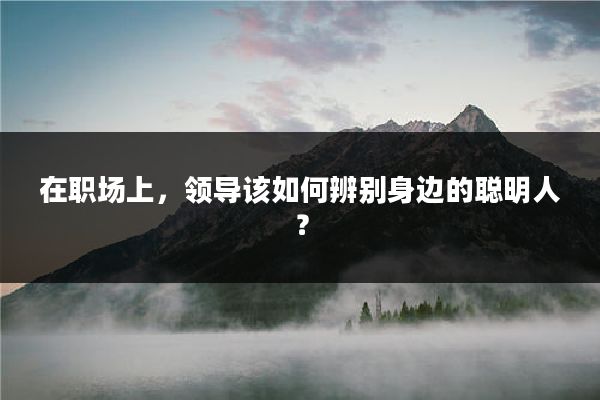 在职场上，领导该如何辨别身边的聪明人？