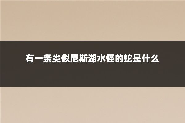 有一条类似尼斯湖水怪的蛇是什么