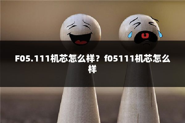 F05.111机芯怎么样?f05111机芯怎么样