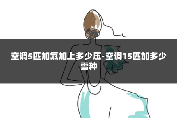 空调5匹加氟加上多少压-空调15匹加多少雪种