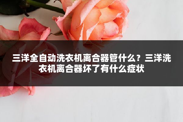 三洋全自动洗衣机离合器管什么?三洋洗衣机离合器坏了有什么症状
