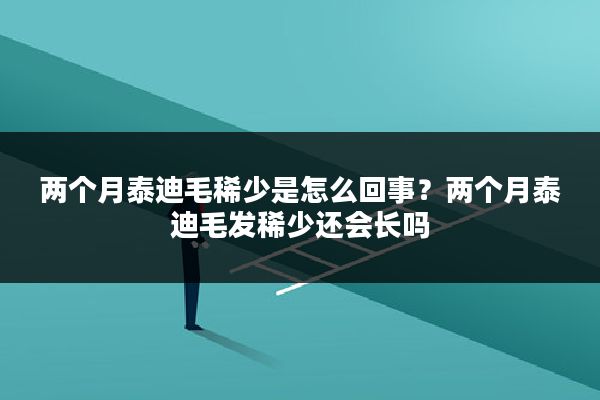 两个月泰迪毛稀少是怎么回事？两个月泰迪毛发稀少还会长吗