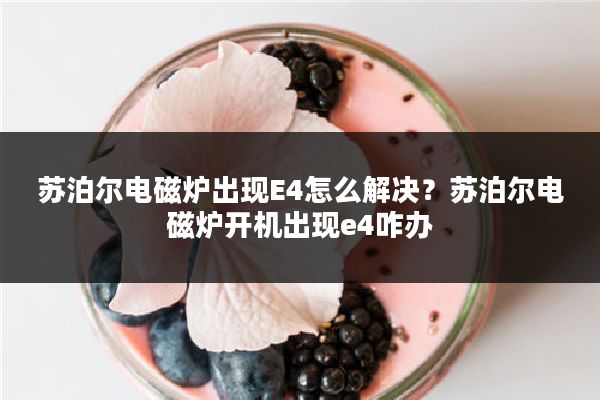 苏泊尔电磁炉出现E4怎么解决？苏泊尔电磁炉开机出现e4咋办