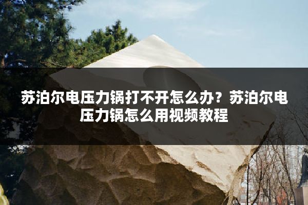 苏泊尔电压力锅打不开怎么办?苏泊尔电压力锅怎么用视频教程