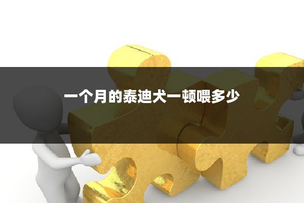 一个月的泰迪犬一顿喂多少