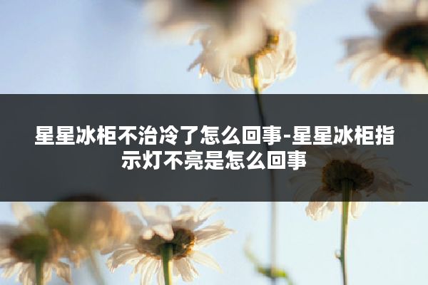 星星冰柜不治冷了怎么回事-星星冰柜指示灯不亮是怎么回事