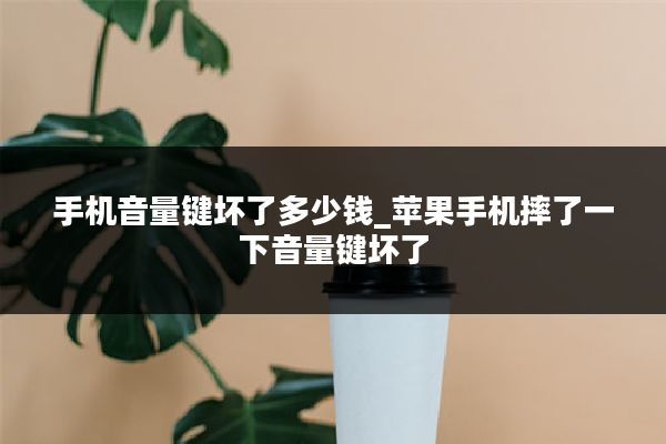 手机音量键坏了多少钱_苹果手机摔了一下音量键坏了