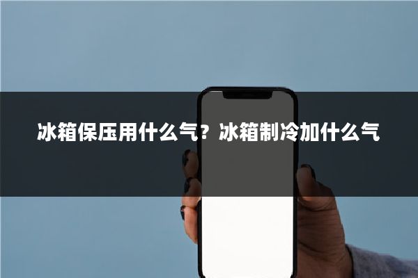 冰箱保压用什么气?冰箱制冷加什么气