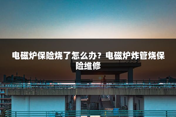 电磁炉保险烧了怎么办?电磁炉炸管烧保险维修