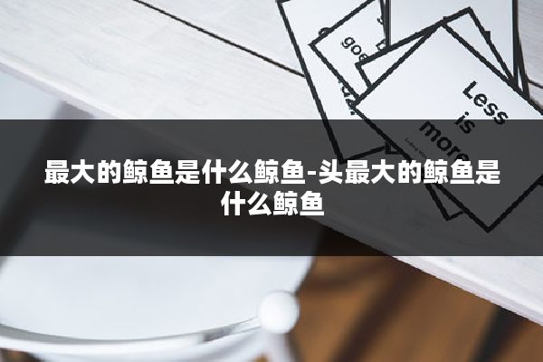 最大的鲸鱼是什么鲸鱼-头最大的鲸鱼是什么鲸鱼