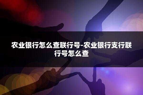 农业银行怎么查联行号-农业银行支行联行号怎么查